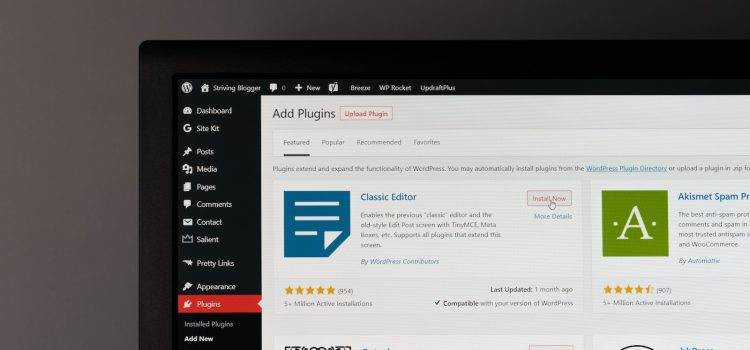 Fixing Slow WordPress Website